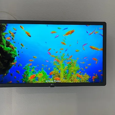 Playa Paraiso Vistas Piscina Y Relax *